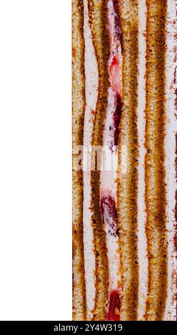 Nahaufnahme der köstlichen Kuchenschichten mit abwechselnden Schichten feuchten Kuchens, glatter Creme und leuchtender roter Marmelade Stockfoto