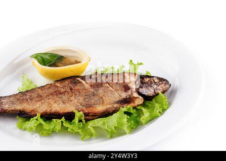 Gegrillte Forelle liegt auf einem Bett mit Salat auf einem weißen Teller, serviert mit Zitrone und Gewürz Stockfoto