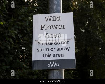 Wild Flower Area, GWR, North Camp, England, UK, GB Stockfoto