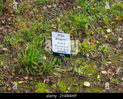 Wild Flower Area, GWR, North Camp, England, UK, GB Stockfoto