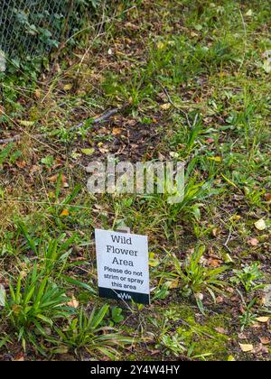 Wild Flower Area, GWR, North Camp, England, UK, GB Stockfoto