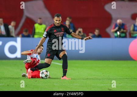 Belgrad, Serbien. September 2024. Vangelis Pavlidis aus Benfica während des Spiels der UEFA Champions League 2024/25 Phase MD1 zwischen FK Crvena Zvezda und SL Benfica im Rajko Mitic Stadium am 19. September 2024. Quelle: Dimitrije Vasiljevic/Alamy Live News Stockfoto