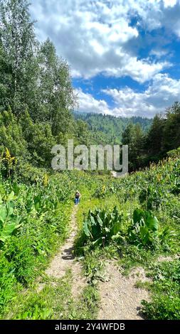 Herrliche Berglandschaft mit grüner Vegetation vor bewölktem Himmel Stockfoto