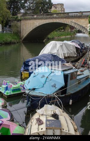 25. April 24 Eine Gruppe Boote legte auf dem Fluss Avon an der Spring Gardens Road in Bath Somerset England an. Diese Boote sind immer noch unter Winterschutz. Stockfoto