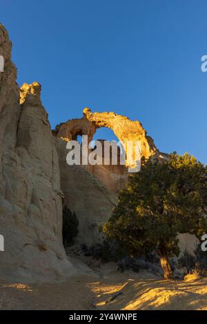 Grosvenor Arch bei Sonnenuntergang im Grand Staircase-Escalante National Monument, Utah Stockfoto