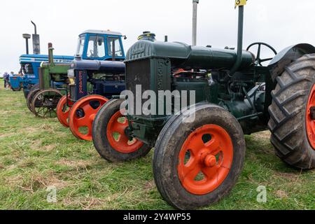 Low Ham.Somerset.Vereinigtes Königreich. 20. Juli 2024. Eine Reihe von Oldtimer-Traktoren, darunter ein Paar Standard Fordsons, ist auf der Somerset Steam and Co zu sehen Stockfoto