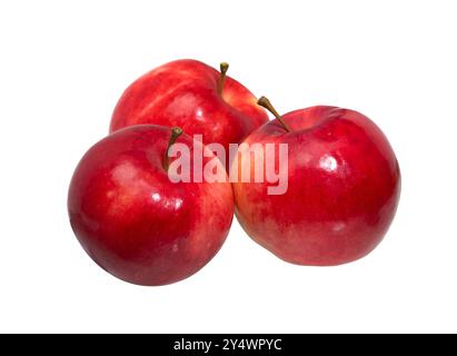Rote Äpfel, isoliert auf weißem Hintergrund. Stockfoto