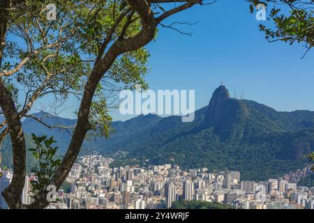 Rio de Janeiro Stadt, Brasilien vom Sugarloaf Berg aus gesehen und von einem Baum eingerahmt. Im Hintergrund, Corcovado und Christusstatue. Hintergrund blauer Himmel. Stockfoto