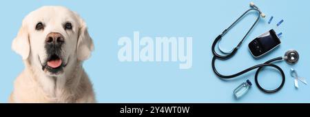 Hund, Stethoskop, Glucometer, Ampule und Bewusstseinsband auf hellblauem Hintergrund mit Platz für Text. Diabeteskonzept Stockfoto