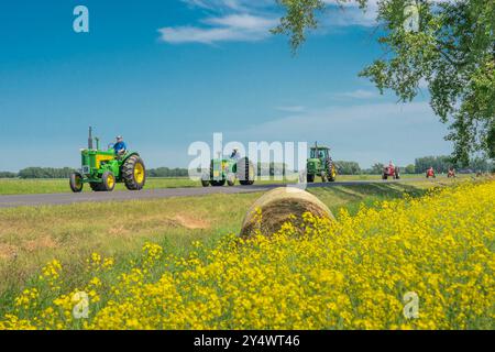 Oldtimer-Traktoren mit blühenden Rapsfeldern beim jährlichen Traktor Trek der Eden Foundation in der Nähe von Winkler, Manitoba, Kanada. Stockfoto