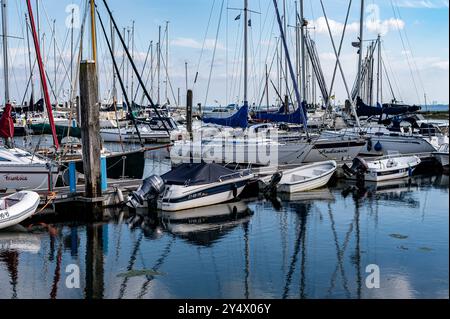 Austernzucht in Yerseke, Zeeland, Niederlande Stockfoto