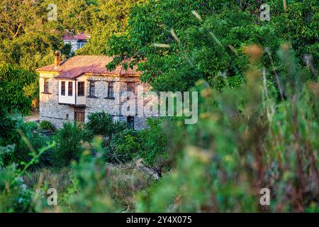 Ein traditionelles Steinhaus mit einem rot gekachelten Dach, eingebettet in dichtem Grün in Agios Germanos, Griechenland, schafft eine ruhige und abgeschiedene Atmosphäre. Stockfoto