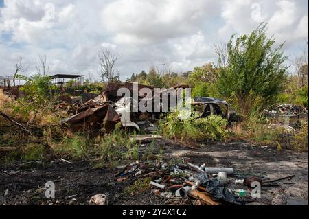 12. September 2024: Rom, Italien: Inizia la bonifica delle aree Occupate dagli autodemolitori, parte del progetto di riqualificazione del Parco di Centocelle. Viale Palmiro Togliatti. © Andrea Sabbadini Stockfoto