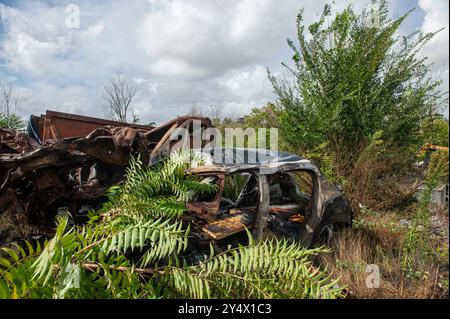 12. September 2024: Rom, Italien: Inizia la bonifica delle aree Occupate dagli autodemolitori, parte del progetto di riqualificazione del Parco di Centocelle. Viale Palmiro Togliatti. © Andrea Sabbadini Stockfoto
