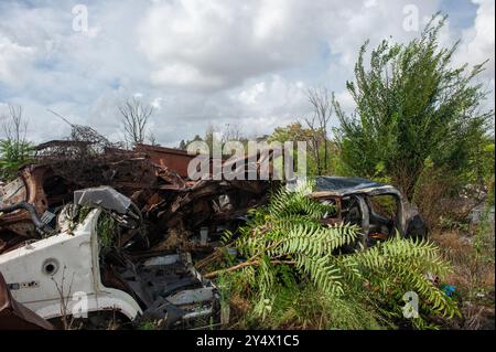 12. September 2024: Rom, Italien: Inizia la bonifica delle aree Occupate dagli autodemolitori, parte del progetto di riqualificazione del Parco di Centocelle. Viale Palmiro Togliatti. © Andrea Sabbadini Stockfoto