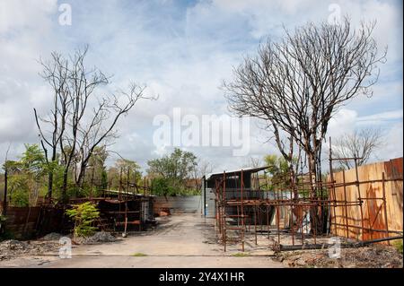 12. September 2024: Rom, Italien: Inizia la bonifica delle aree Occupate dagli autodemolitori, parte del progetto di riqualificazione del Parco di Centocelle. Viale Palmiro Togliatti. © Andrea Sabbadini Stockfoto