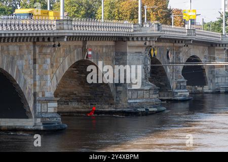 Dresden Deutschland 18. September 2024: Das Hochwasser hat die 6-Meter-Marke überschritten, die Elbwiesen stehen unter Wasser. Stockfoto