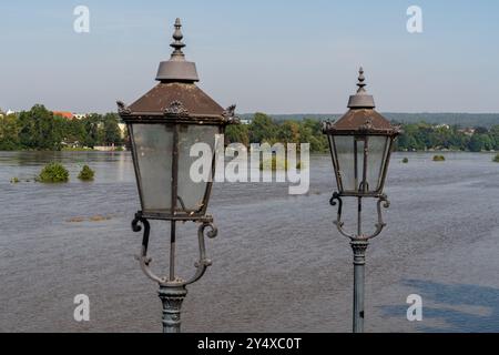 Dresden Deutschland 18. September 2024: Das Hochwasser hat die 6-Meter-Marke überschritten, die Elbwiesen stehen unter Wasser. Stockfoto