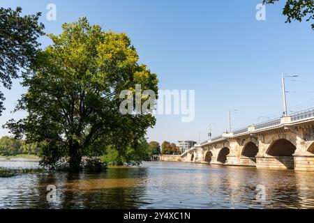 Dresden Deutschland 18. September 2024: Das Hochwasser hat die 6-Meter-Marke überschritten, die Elbwiesen stehen unter Wasser. Stockfoto