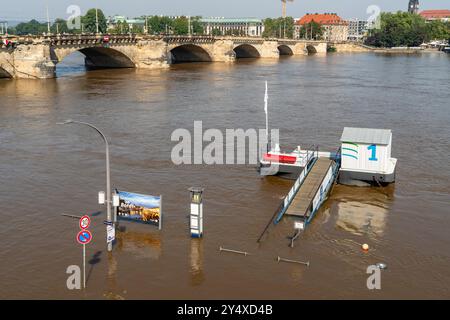 Dresden Deutschland 18. September 2024: Das Hochwasser hat die 6-Meter-Marke überschritten, die Elbwiesen stehen unter Wasser. Stockfoto