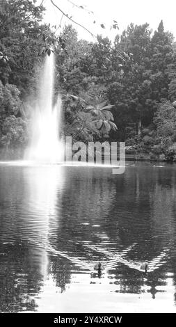 Brunnen, Farne und zwei Enten in einem kleinen See im Pukekura Park, Neuseeland Stockfoto