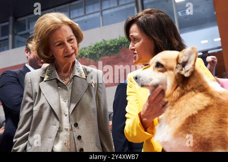 Die ehemalige Königin Sofia nimmt am 24. Juni 2022 an der Eröffnung der World Dog Show auf der IFEMA in Madrid Teil. Auf dem Bild streichelt und interessiert sich die ehemalige Königin Sofia für Pembroke Welsh Corgi, die gleiche Rasse der Hunde von Königin Elisabeth II. Des Vereinigten Königreichs Großbritannien und Nordirland. Stockfoto