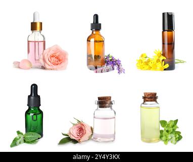 Set verschiedener ätherischer Öle in Flaschen auf weißem Hintergrund. Oregano-Blätter, Rosenblüten und andere Zutaten Stockfoto