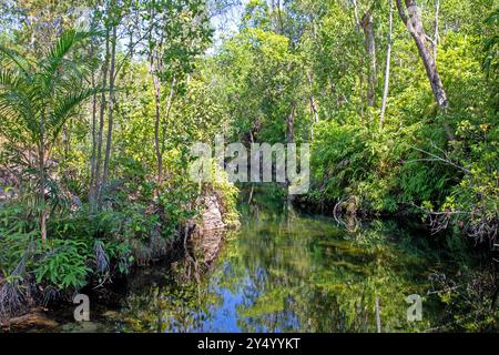 Walker Creek, Litchfield National Park Stockfoto