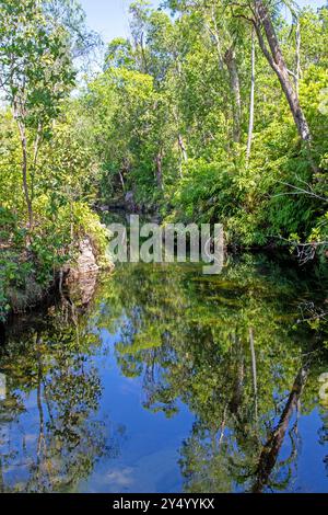 Walker Creek, Litchfield National Park Stockfoto