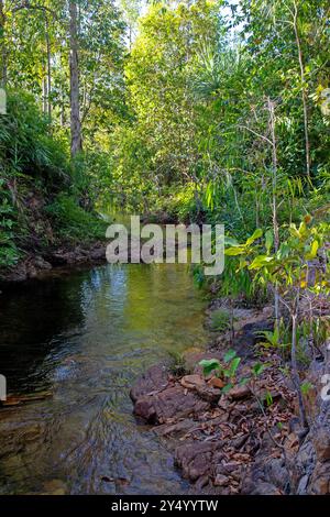 Walker Creek, Litchfield National Park Stockfoto