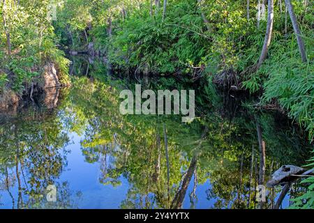 Walker Creek, Litchfield National Park Stockfoto