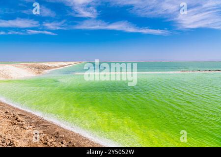 Mineralbergbau in China. Ein Rand von Kristallsalzen umgibt den Qarhan-See, den größten Salzsee playa in China und eine bedeutende Salzquelle Stockfoto