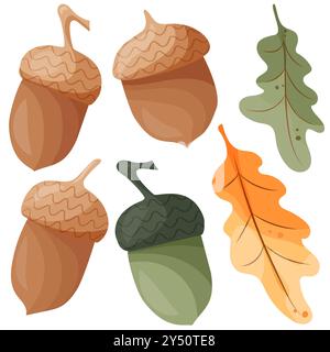 Eichenblätter und Eicheln Set Illustration, grafisches Flora Clipart Stockfoto