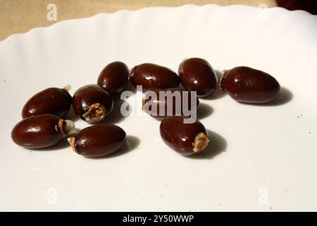 Litschi- oder Litchi-Samen (Litchi chinensis) haben eine dunkelbraune Farbe. Stockfoto