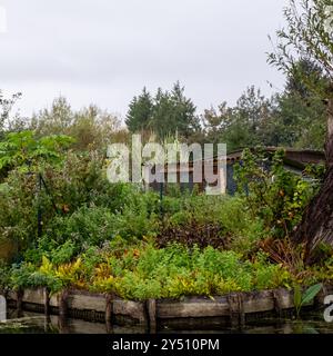 Die Gärten von Les Hortillonnages, Amiens, Frankreich, bestehen aus vielen kleinen Kulturinseln am Ufer des Flusses Somme, umgeben von Wasser. Stockfoto