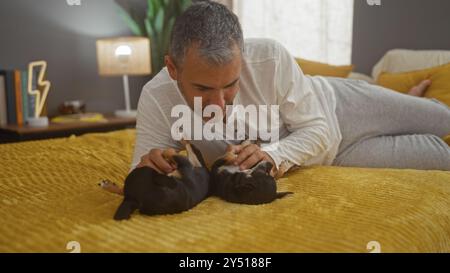 hispanischer Mann mittleren Alters, der auf einem Bett in einem gemütlichen Schlafzimmer liegt und drinnen mit zwei chihuahua-Hunden spielt. Stockfoto