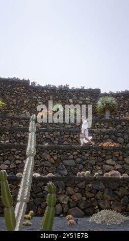 Frau, die im Kaktusgarten von lanzarote, den kanarischen Inseln, mit Steinterrassen, exotischen Pflanzen und einem klaren Himmel spaziert. Stockfoto