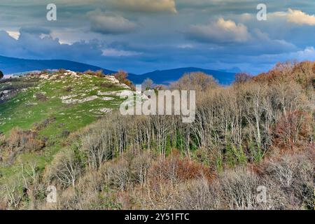 Eine malerische Landschaft mit sanften grünen Hügeln und einem Buchenwald unter einem dramatisch bewölkten Himmel. Stockfoto