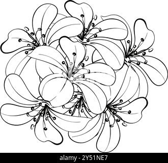 Muster des Blütenstraußes Lilie romantische Frühlingsblume im Vintage-Stil. Grafische Vektorlinie, handgezeichnet, schwarze Silhouette für Cricut. Für Design Stock Vektor