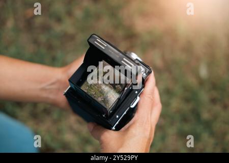 Sucher einer analogen Kamera, die wunderschöne Blumen fokussiert. Stockfoto