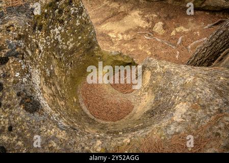 Tina de l'Amorriador, ein in den Felsen gegrabener behälter in der Nähe der Ebene von Pla de Sant Pere, in Navàs (Bages, Barcelona, ​​Catalonia, Spanien) Stockfoto