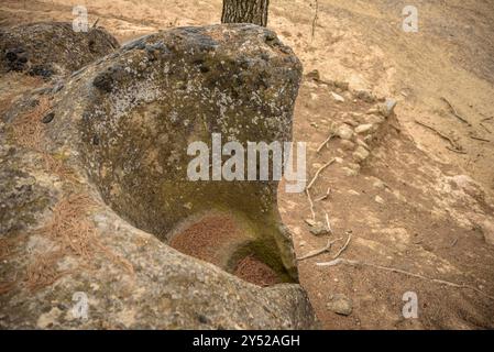 Tina de l'Amorriador, ein in den Felsen gegrabener behälter in der Nähe der Ebene von Pla de Sant Pere, in Navàs (Bages, Barcelona, ​​Catalonia, Spanien) Stockfoto