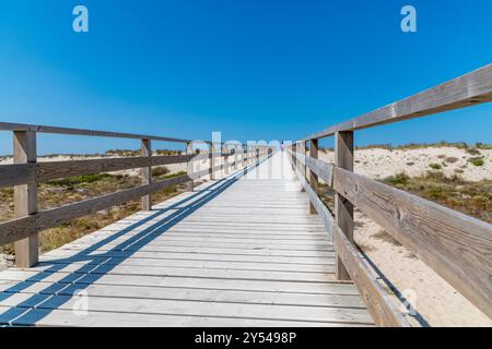 Ein langer Holzsteg mit blauem Himmel darüber, ein Quersteg zum Strand an der Costa Nova in der Nähe von Aveiro, Portugal Stockfoto