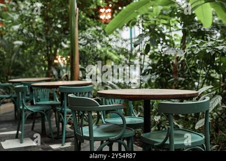 Holztisch und Stühle in leerem Café mit einer riesigen Anzahl von Pflanzen Stockfoto