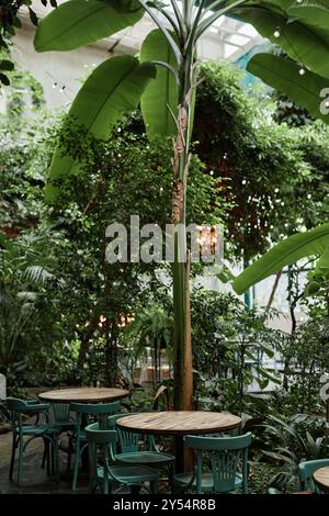 Vertikale Aufnahme von Holztischen und -Stühlen neben Bananenbaum im Öko-Café Stockfoto