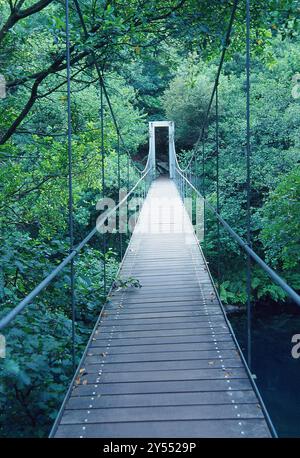 Balancebrücke. Naturschutzgebiet Fragas del Eume, Provinz La Coruña, Galicien, Spanien. Stockfoto