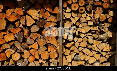 Holzschuppen mit verschiedenen Holzwürzen, die im Winter verbrennt werden können, meist Hartholz und gut gestapelt. Stockfoto