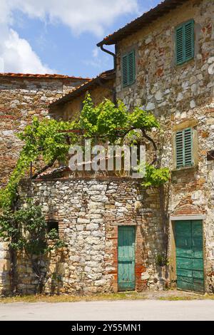 Umgeben von Wäldern, Weinbergen, Olivenhainen und Zypressen, Rocca di Castagnoli, Gaiole im Chianti, Provinz Siena, italien Stockfoto