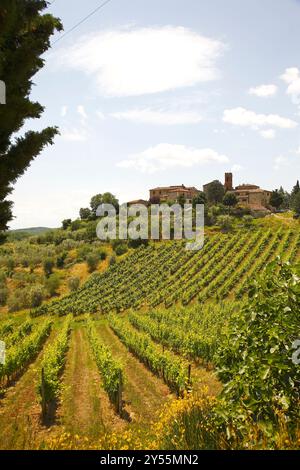 Umgeben von Wäldern, Weinbergen, Olivenhainen und Zypressen, Rocca di Castagnoli, Gaiole im Chianti, Provinz Siena, italien Stockfoto