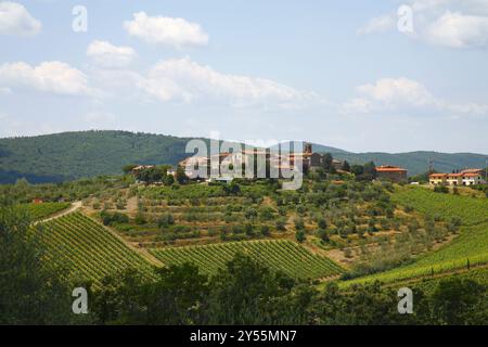 Umgeben von Wäldern, Weinbergen, Olivenhainen und Zypressen, Rocca di Castagnoli, Gaiole im Chianti, Provinz Siena, italien Stockfoto